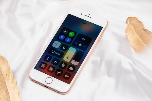 預算不超過2500元，這三款手機可以閉眼買，蘋果用戶的藍牙智能伴侶