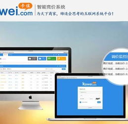廈門二五八集團北京服務中心 智能競價管理軟件的定制與口碑之選